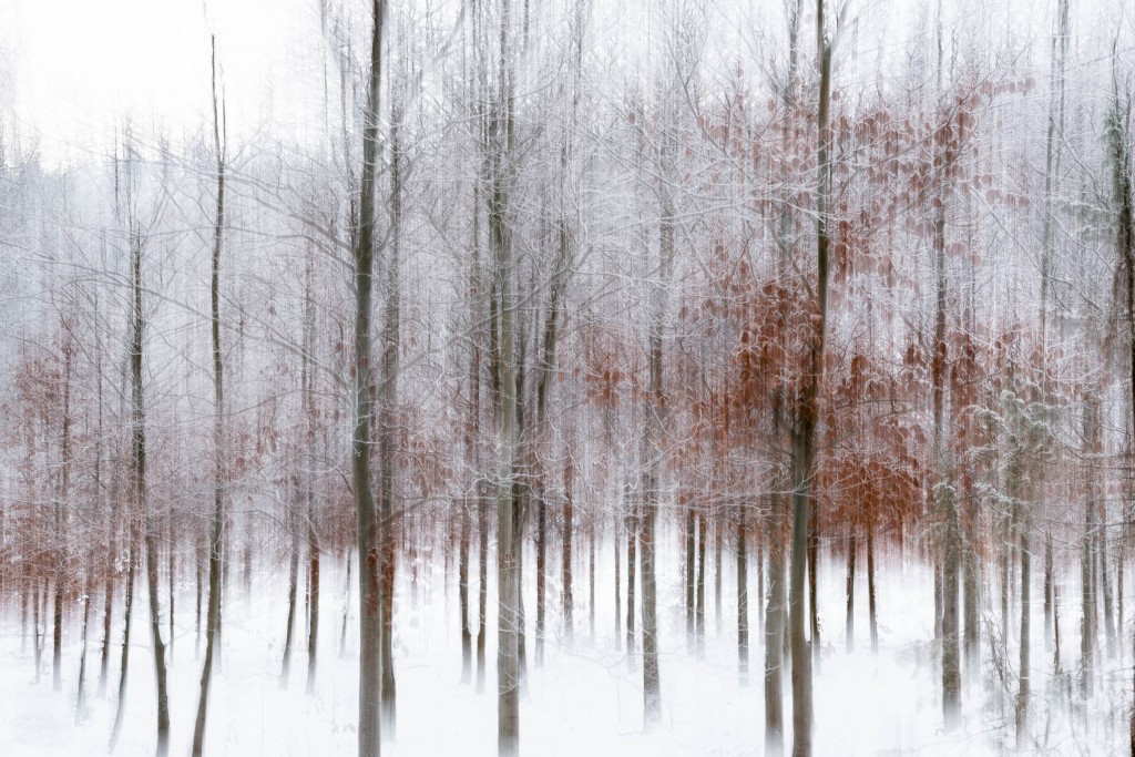 Vinterlandskap_3_Cecilia Rudengren_Naturfotograf
